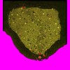Mapa ecl_fild01