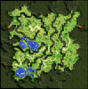 Mapa um_fild01