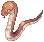 Anacondaq