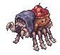 Pom Spider