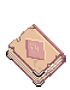 Solid Antique Book
