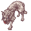 Coyote